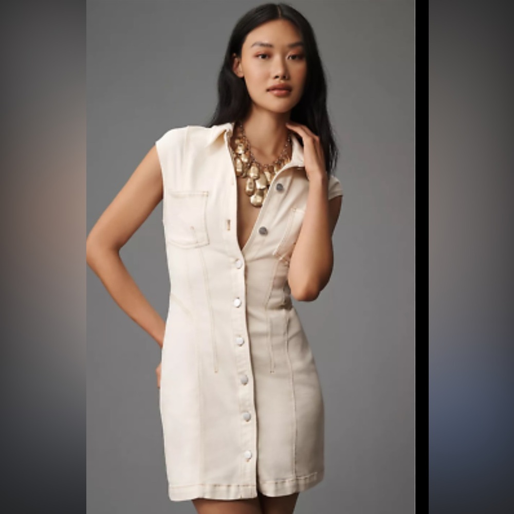 Anthropologie Button-Front Denim Mini Dress